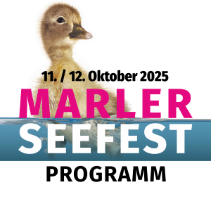 Download Programm